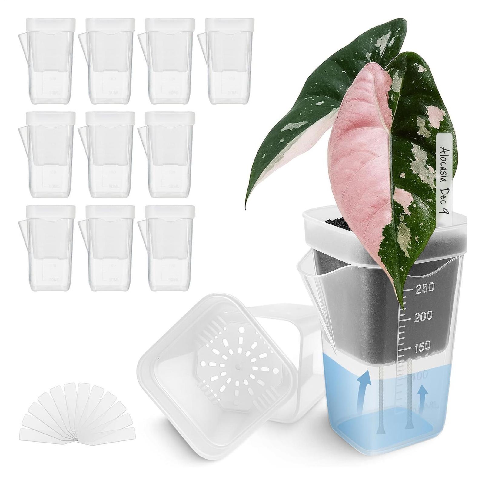 Hydroponic Grow Pod - 10 Stuks Indoor Plant Pot Transparante