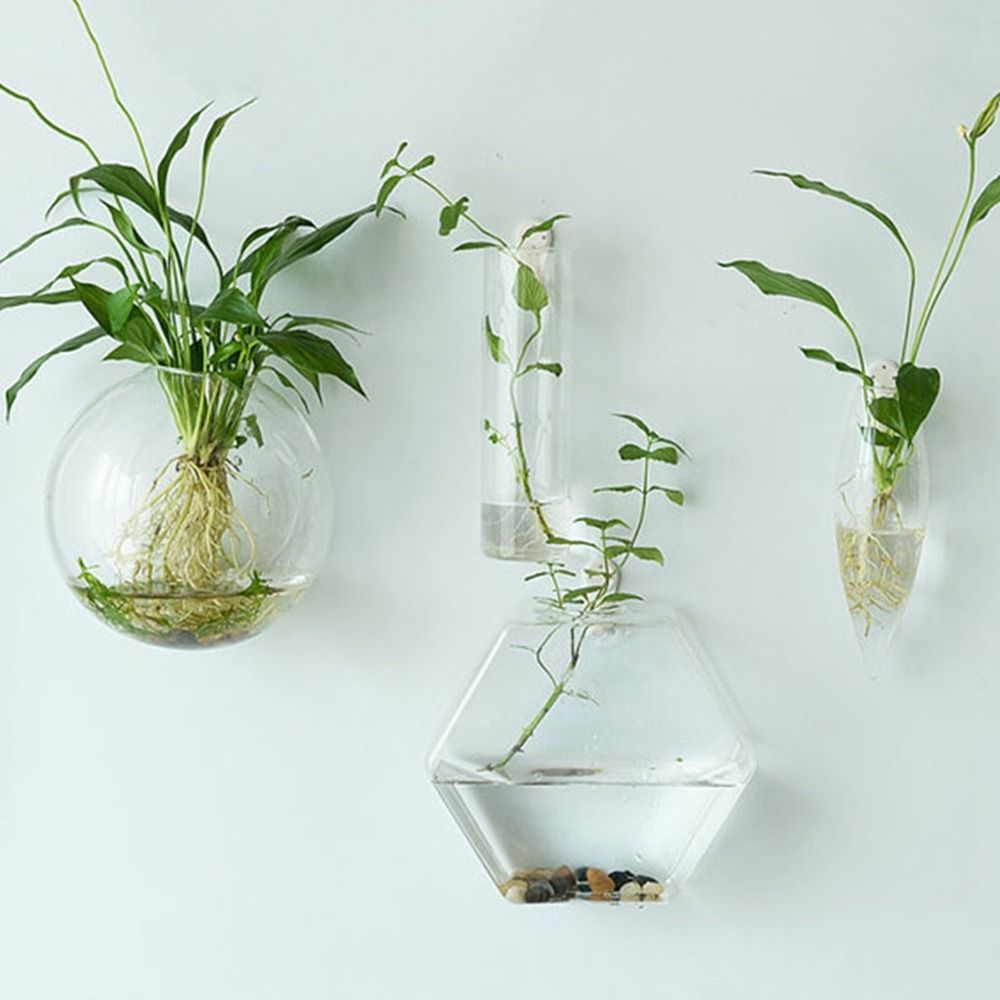 Hydroponic Grow Pod - Hydroponische planten zuiveren huisvissenkom onregelmatige vorm