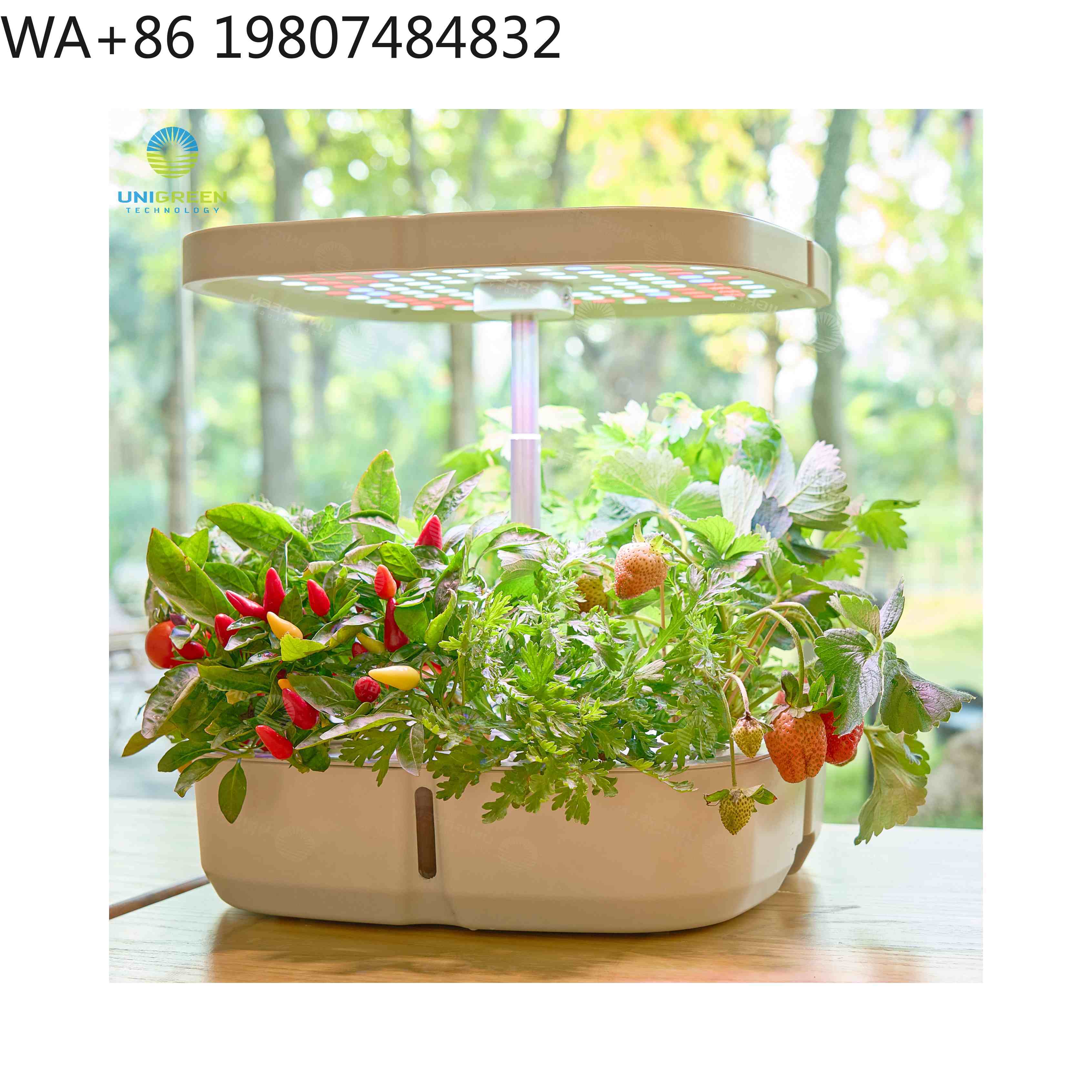 Hydroponic Grow Pod - 8-delige mini hydrocultuur kweekbox met full