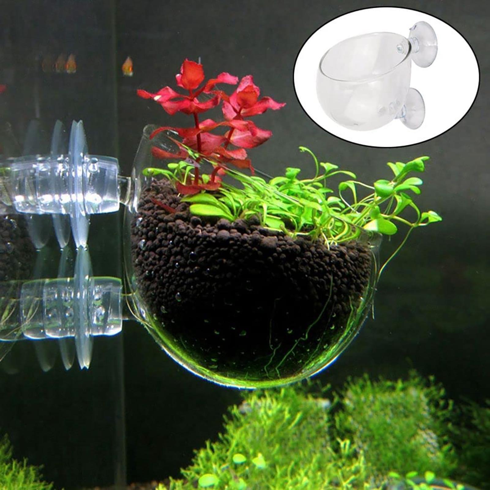 Hydroponic Grow Pod - Aquatische plantenpot Helder acryl aquariumplanter met