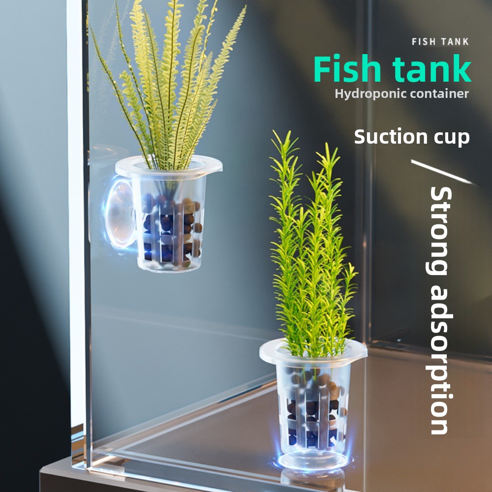 10 stuks transparante planten  - Hydroponic Grow Pod recensie en prijs