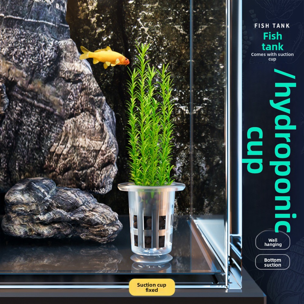 10 stuks transparante planten  - Hydroponic Grow Pod recensie en prijs