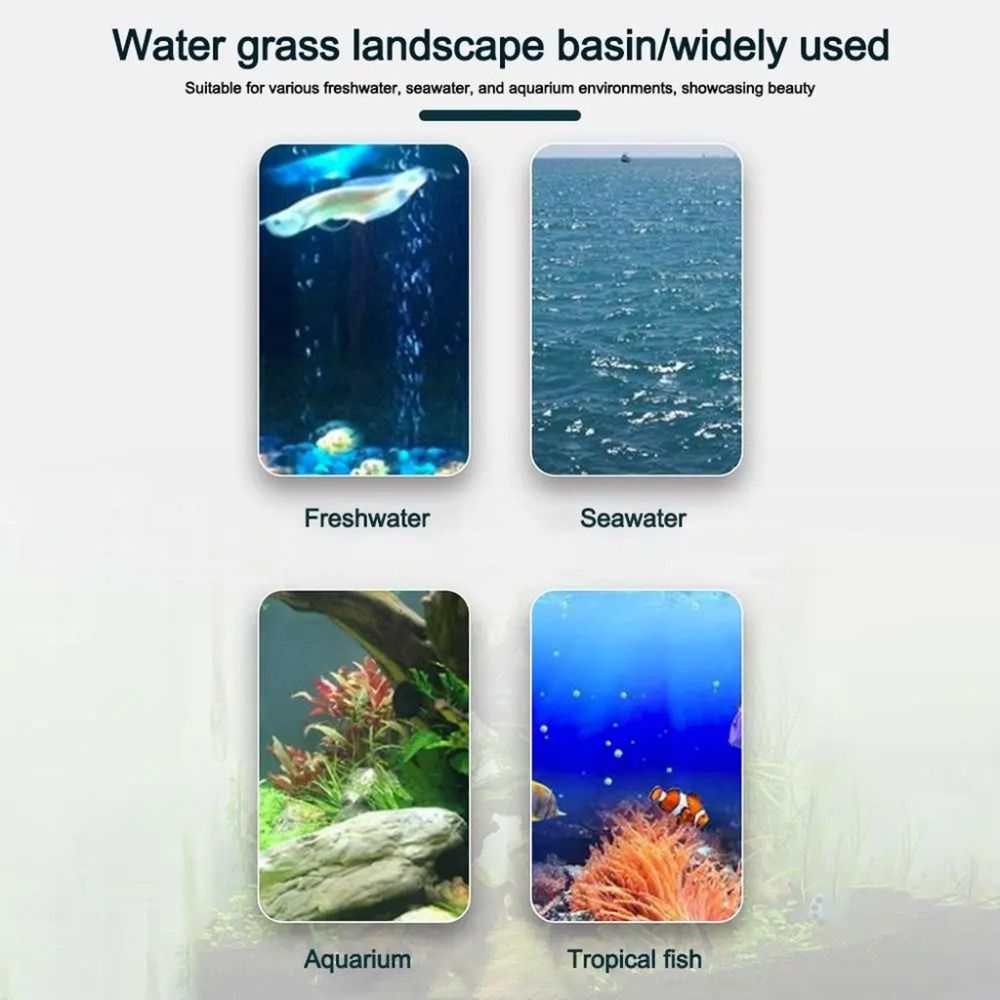 10 stuks transparante planten  - Hydroponic Grow Pod recensie en prijs