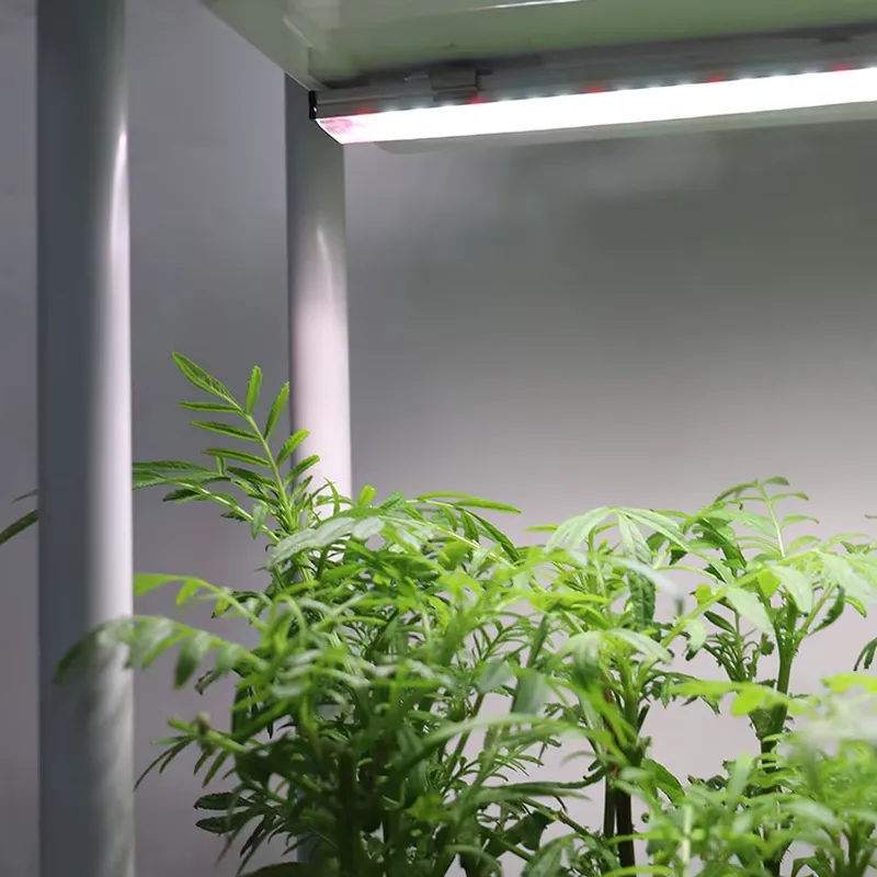 Verplaatsbaar verticaal 3-laag - Smart Garden Vertical Planter recensie en prijs