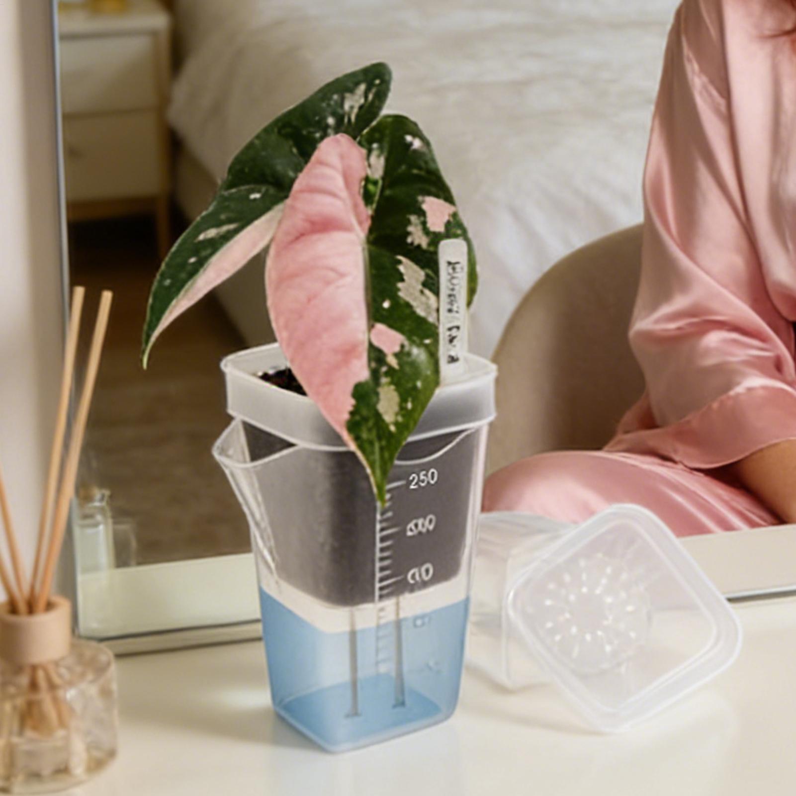 10 Stuks Indoor Plant Pot Tran - Hydroponic Grow Pod recensie en prijs