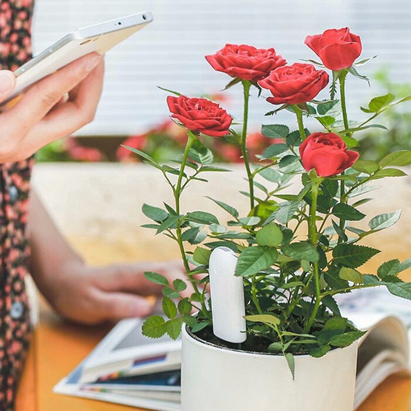 HHCC Bloemmonitor Flora Tuinve - Smart Garden Monitor recensie en prijs