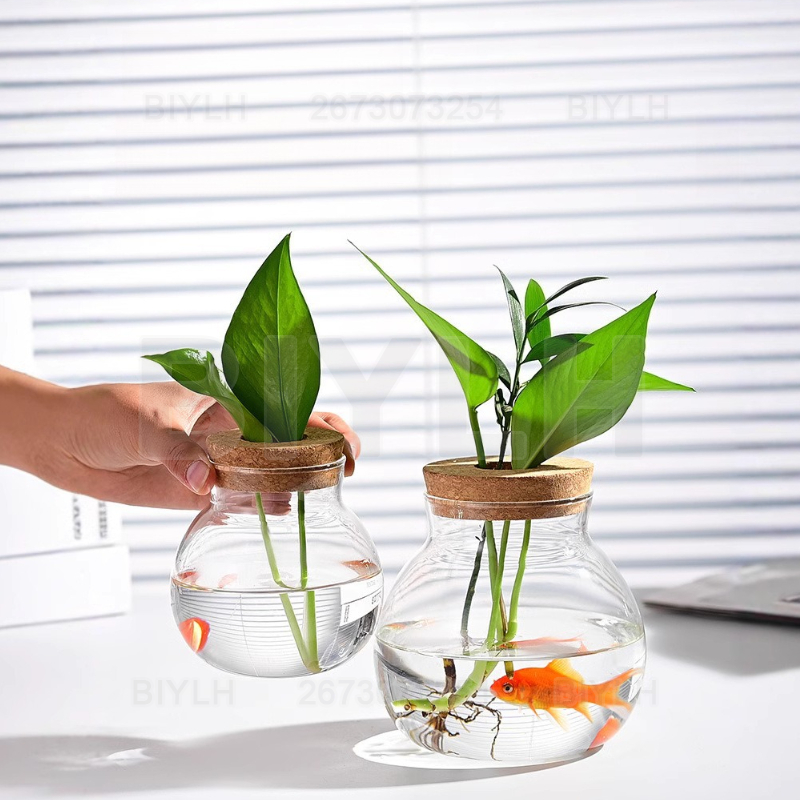 Hydrocultuur Plant Glazen Vaas - Hydroponic Grow Pod recensie en prijs