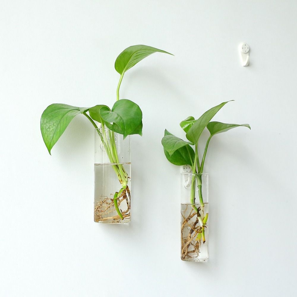 Hydroponische planten zuiveren - Hydroponic Grow Pod recensie en prijs