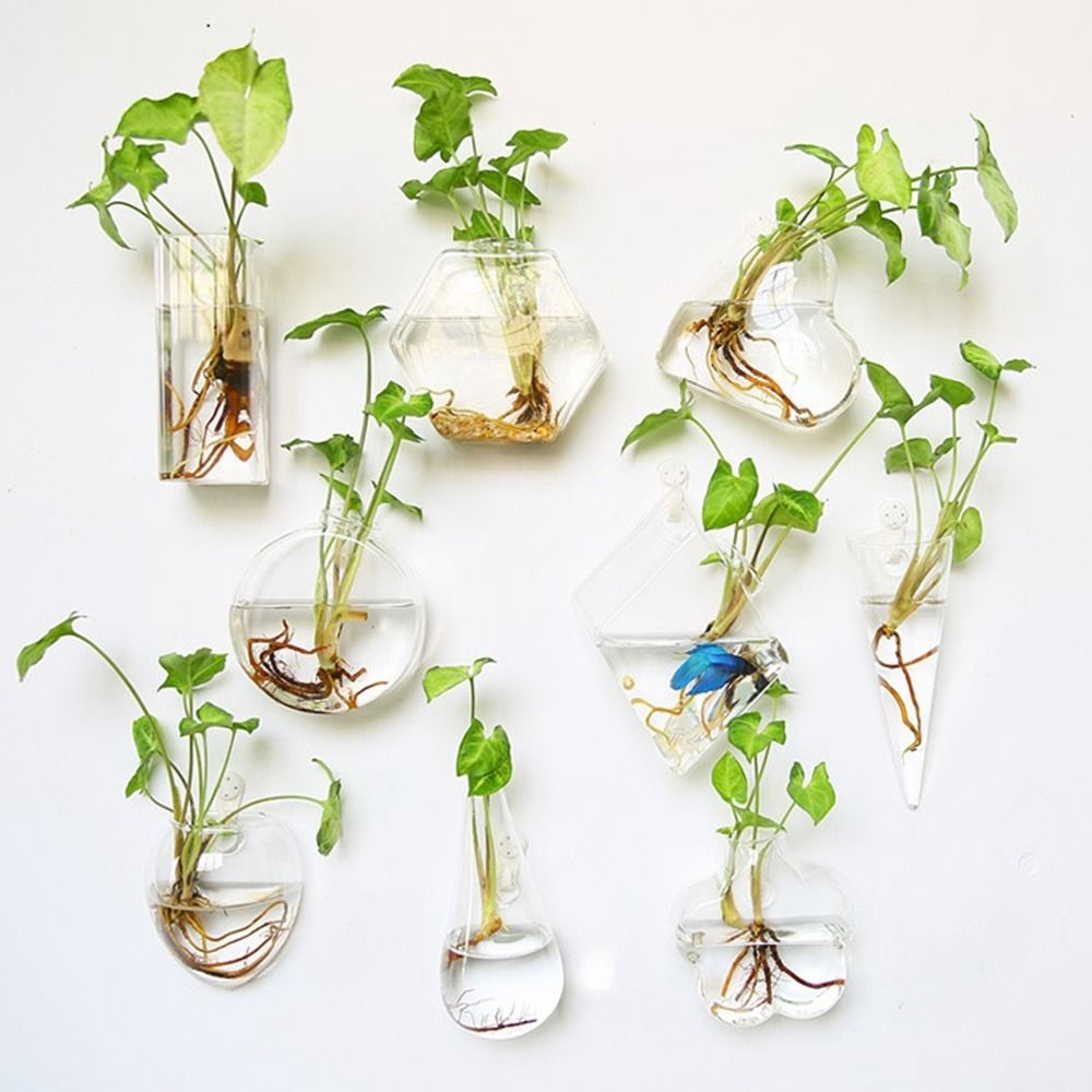 Hydroponische planten zuiveren - Hydroponic Grow Pod recensie en prijs