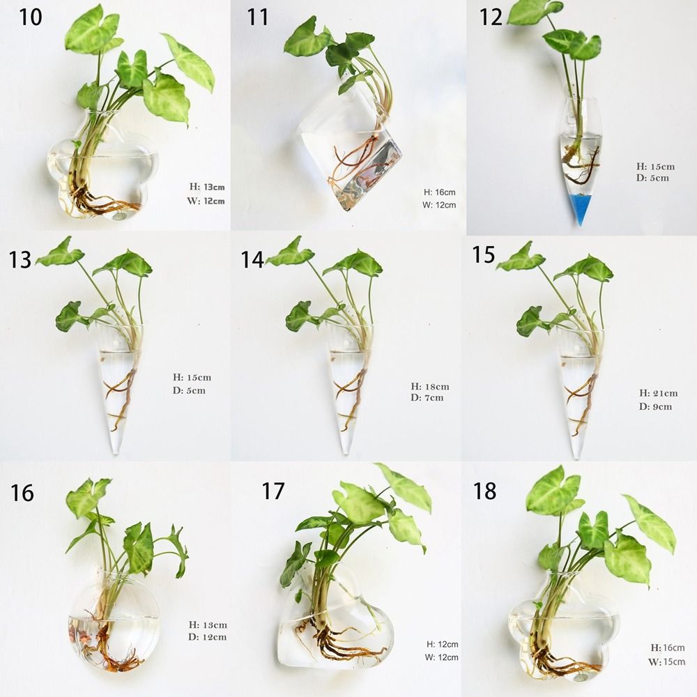 Hydroponische planten zuiveren - Hydroponic Grow Pod recensie en prijs