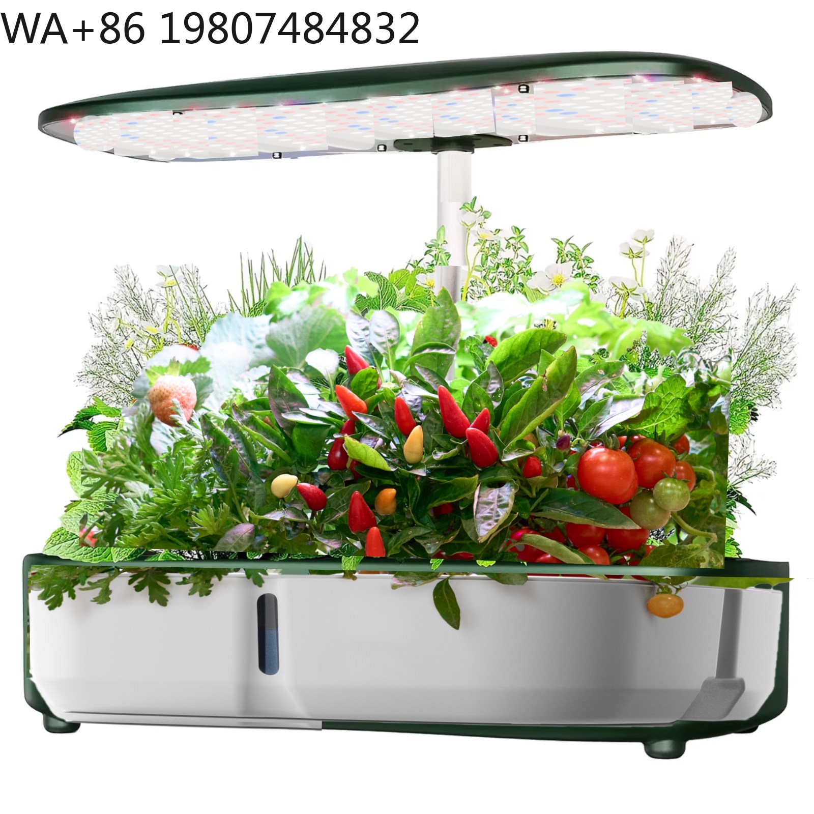 8-delige mini hydrocultuur kwe - Hydroponic Grow Pod recensie en prijs