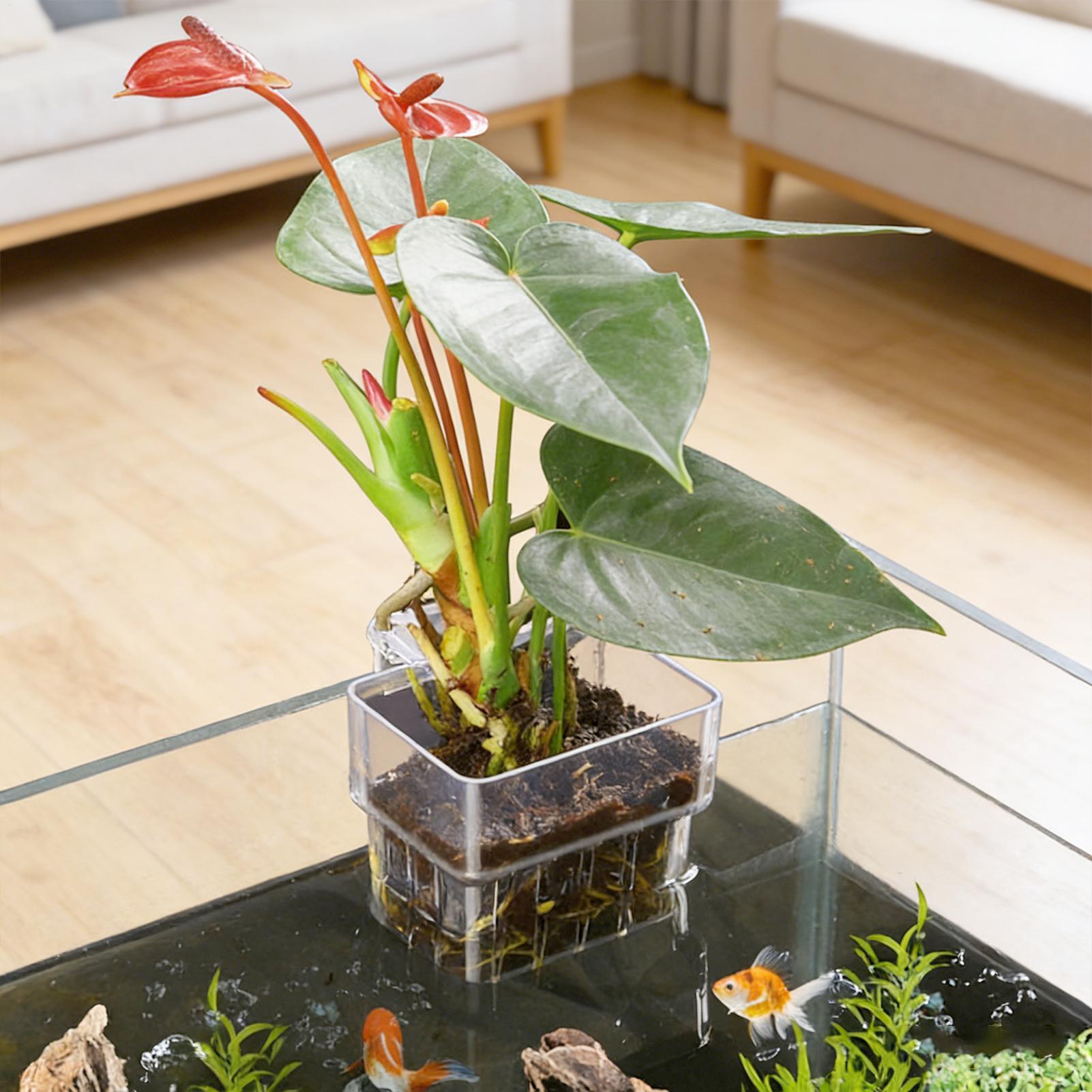 Transparante hangbare aquarium - Hydroponic Grow Pod recensie en prijs