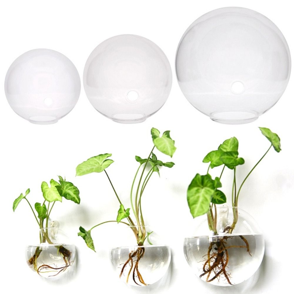 Transparant Glas Vaas Muur Opk - Hydroponic Grow Pod recensie en prijs