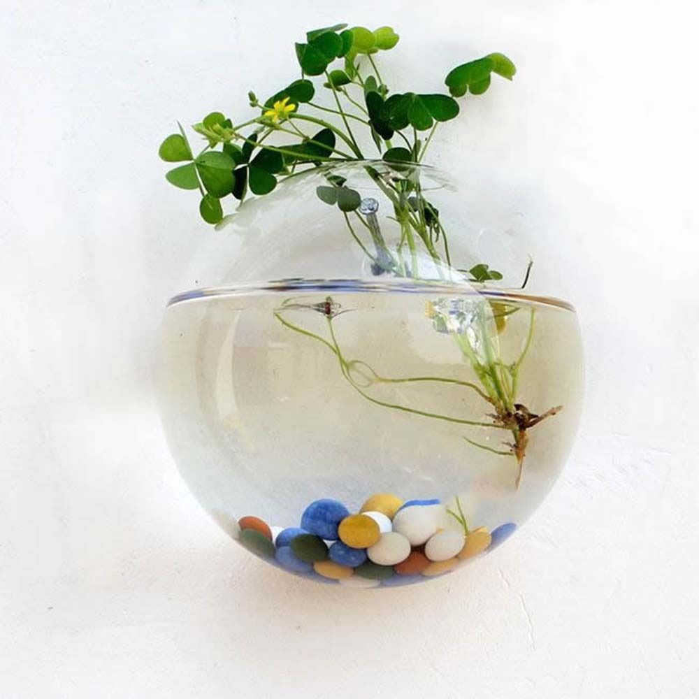 Transparant Glas Vaas Muur Opk - Hydroponic Grow Pod recensie en prijs