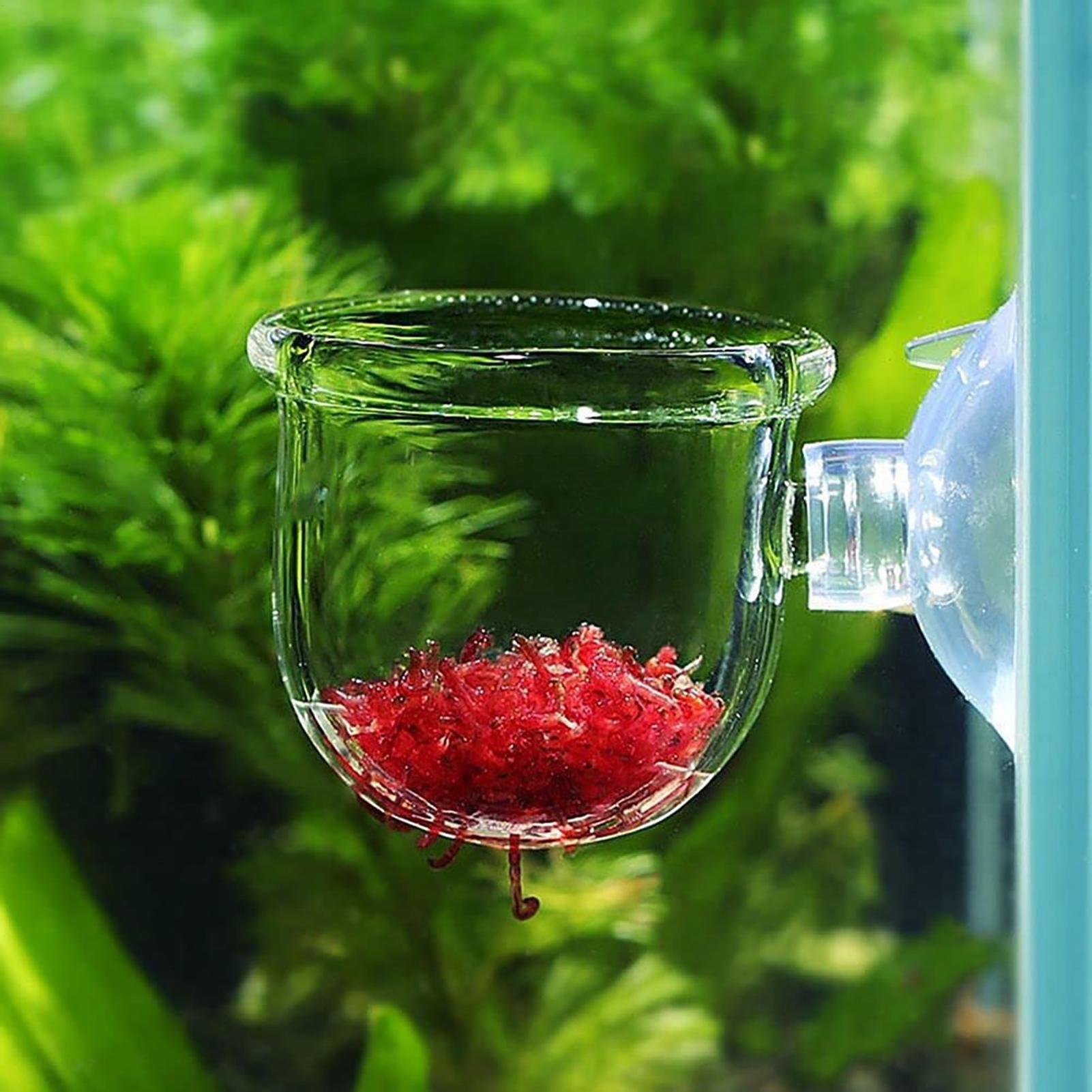 Aquatische plantenpot Helder a - Hydroponic Grow Pod recensie en prijs