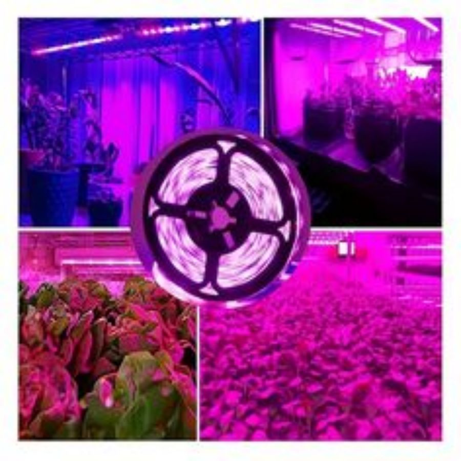 1 M/2 M/3 M/5 M/10 M LED Volle - Led Plant Light Strip recensie en prijs