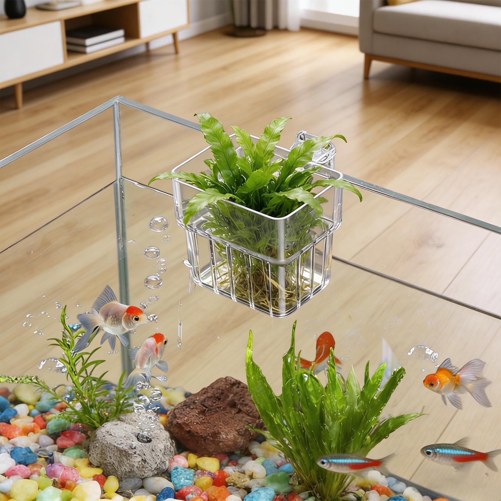 Aquarium transparante hangpot, - Hydroponic Grow Pod recensie en prijs