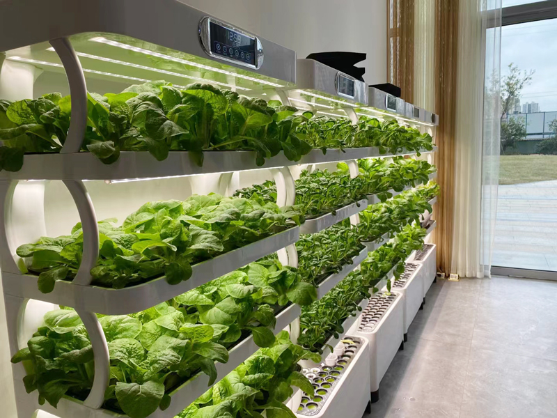 Indoor kleine thuistuin plante - Smart Garden Vertical Planter recensie en prijs