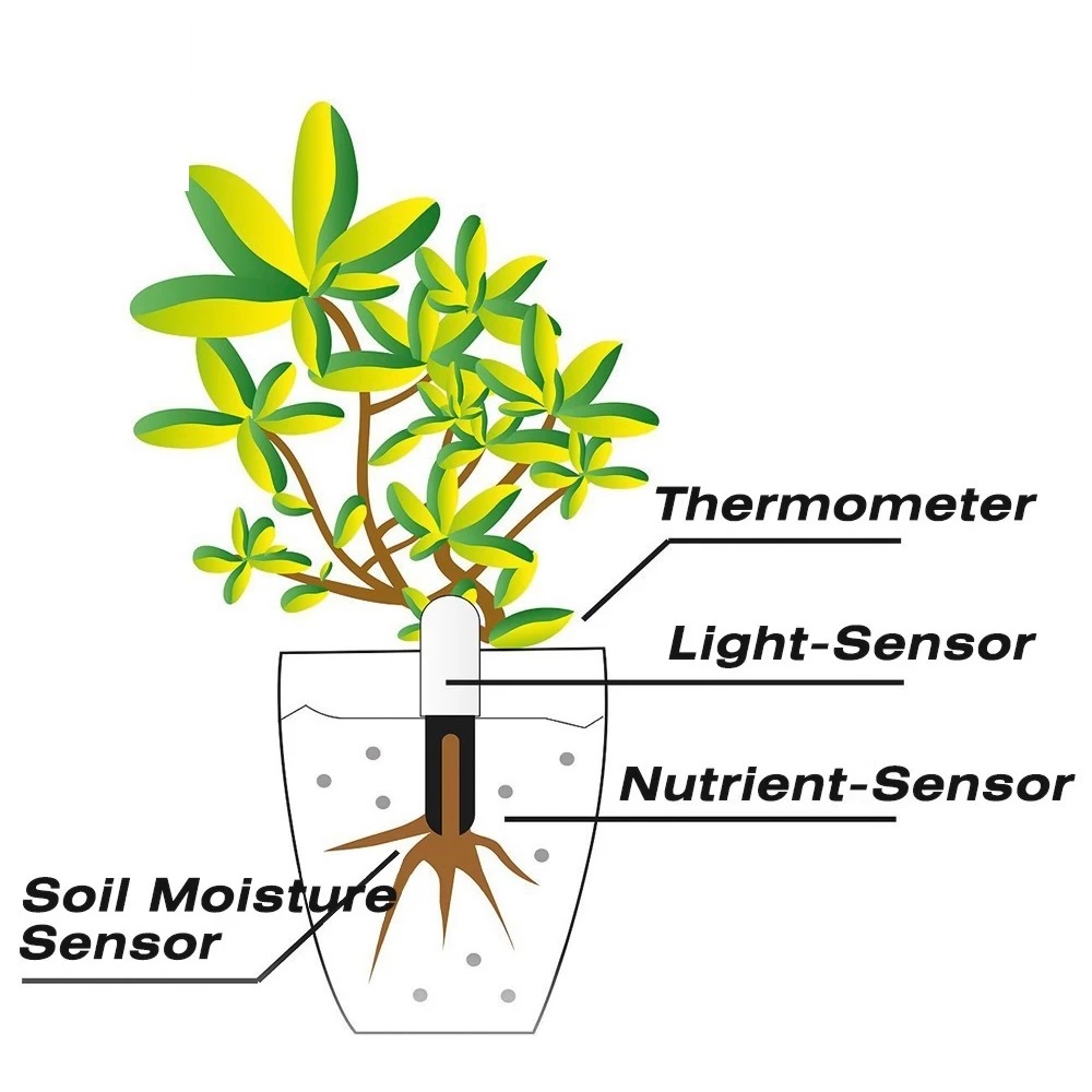 HHCC Bloemenmonitor Flora Tuin - Smart Garden Monitor recensie en prijs