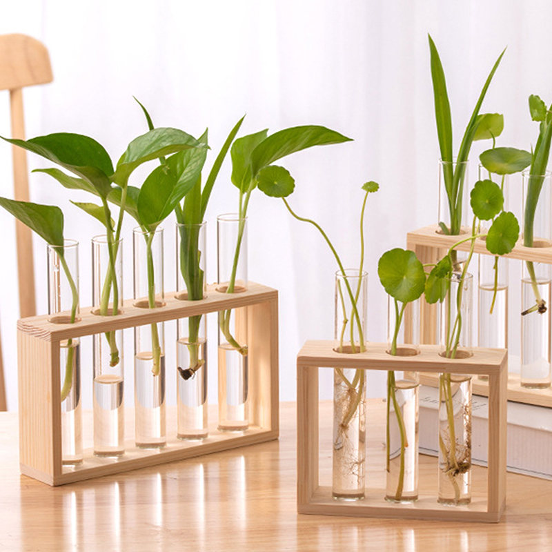 Hydrocultuur Planten Container - Hydroponic Grow Pod recensie en prijs