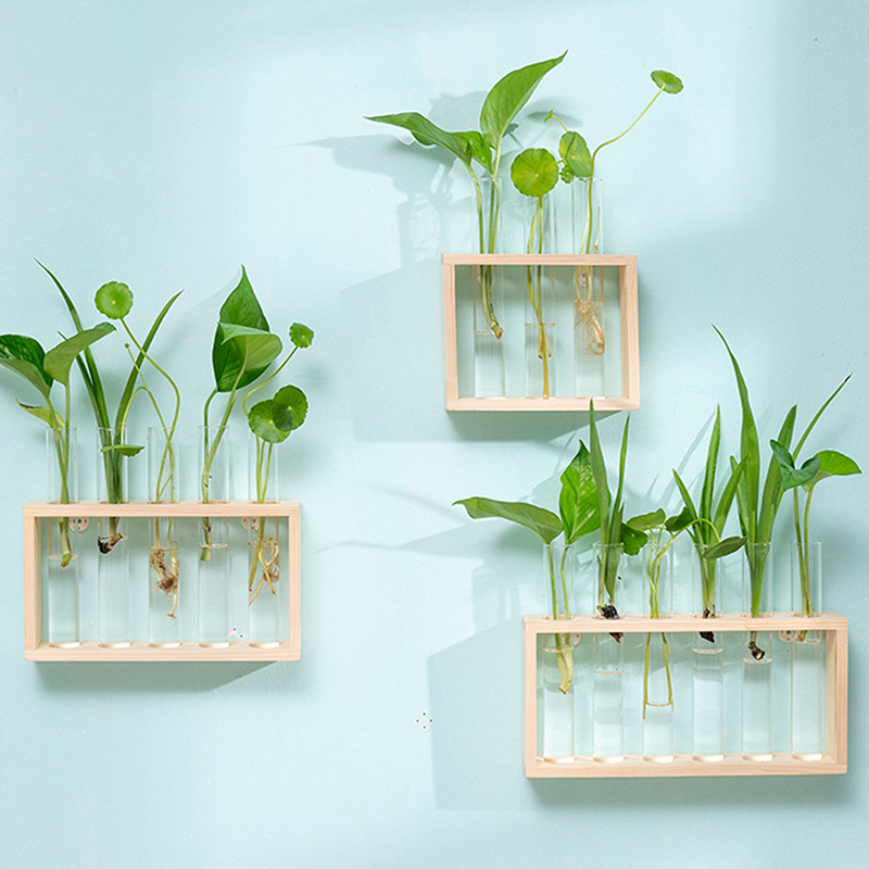 Hydrocultuur Planten Container - Hydroponic Grow Pod recensie en prijs