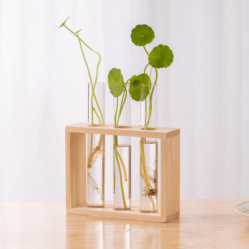 Hydrocultuur Planten Container - Hydroponic Grow Pod recensie en prijs