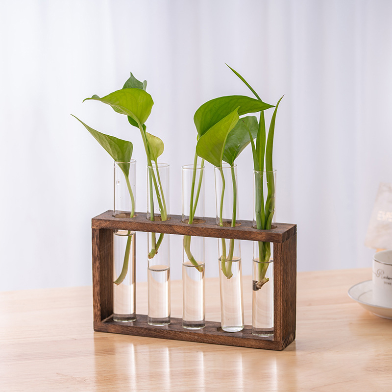 Hydrocultuur Planten Container - Hydroponic Grow Pod recensie en prijs
