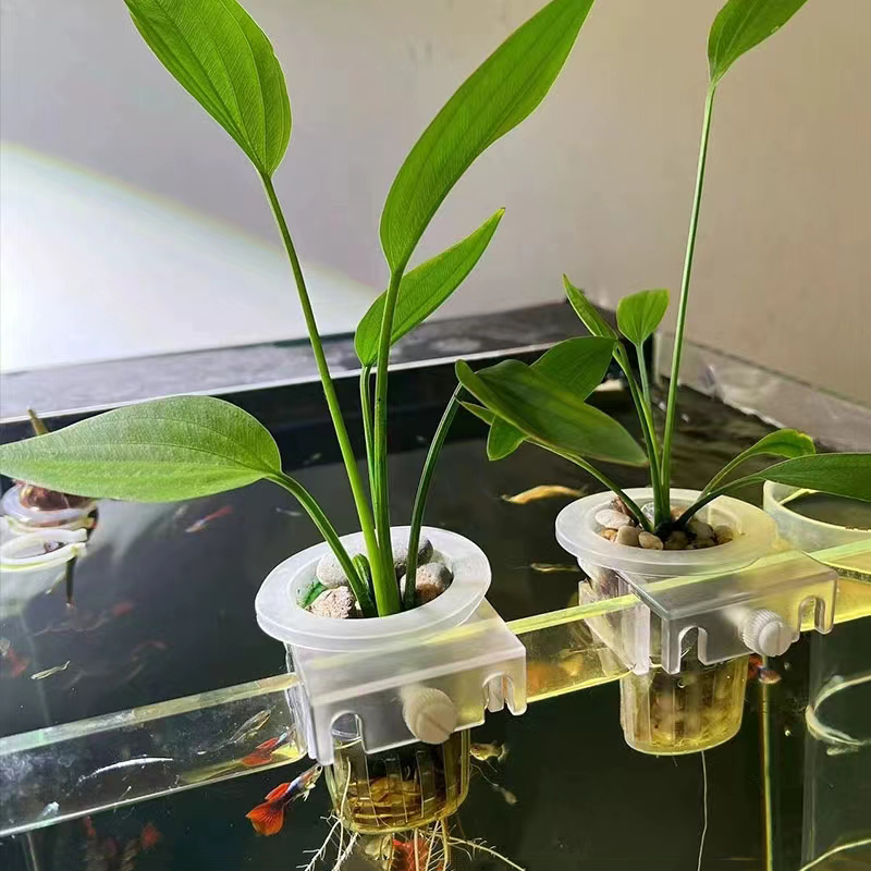 Aquarium Plantmand Hydroponisc - Hydroponic Grow Pod recensie en prijs