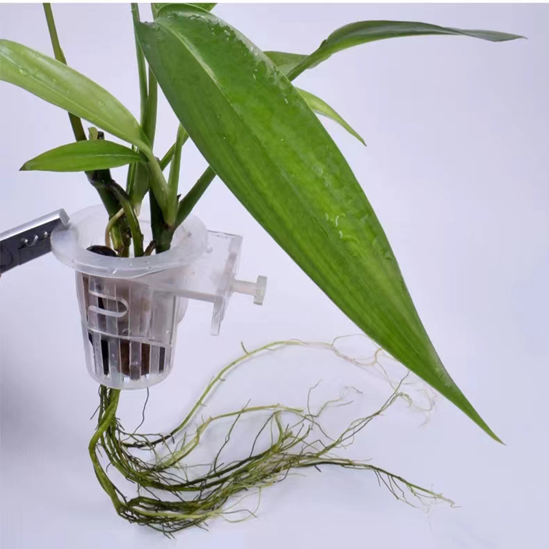 Aquarium Plantmand Hydroponisc - Hydroponic Grow Pod recensie en prijs